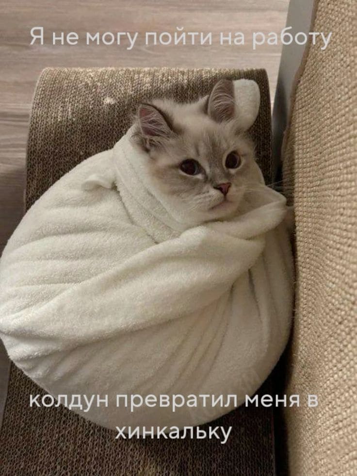 *Я не могу пойти на работу колдун превратил меня хинкальку*