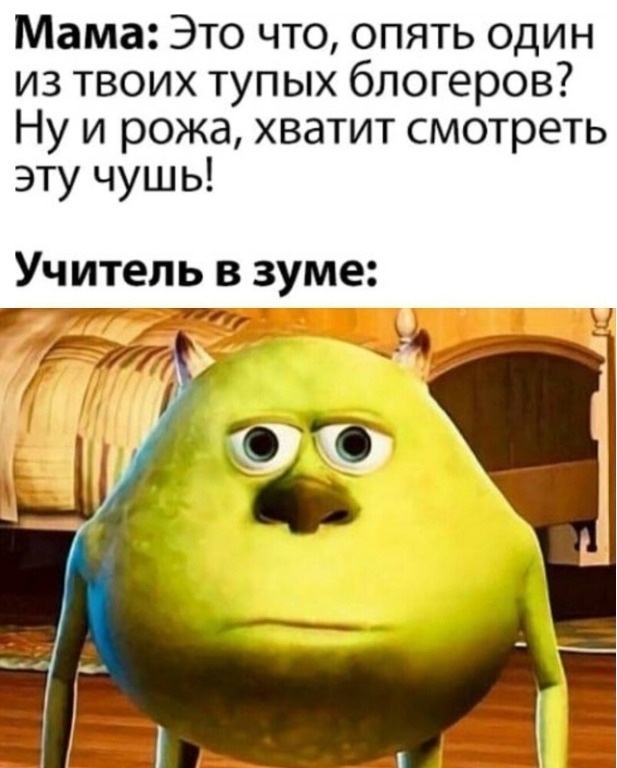 Мама: это что, опять один из твоих тупых блогеров? Ну и рожа, хватит смотреть эту чушь!
Учитель в зуме: *Кхм-кхм...*