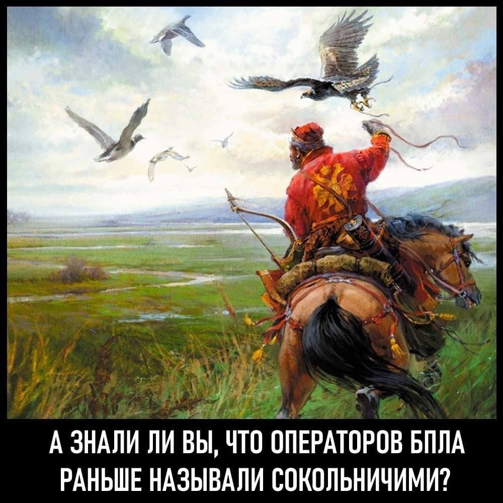 А ЗНАЛИ ЛИ ВЫ, ЧТО ОПЕРАТОРОВ БПЛА РАНЬШЕ НАЗЫВАЛИ СОКОЛЬНИЧИМИ?
