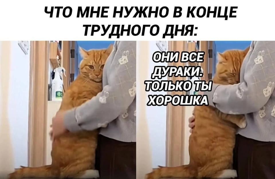 *ЧТО МНЕ НУЖНО В КОНЦЕ ТРУДНОГО ДНЯ*
Кот:
– Они все дураки, один ты хорошка.
