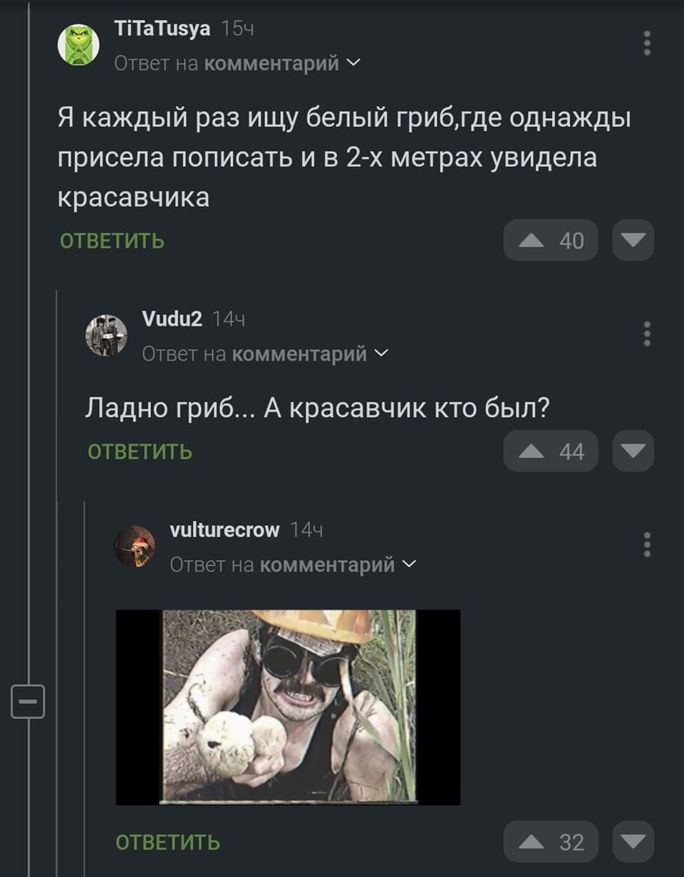 – Я каждый раз ищу белый гриб, где однажды присела пописать и в 2-х метрах увидела красавчика.
– Ладно гриб... А красавчик кто был?
– *Фото красавчика*