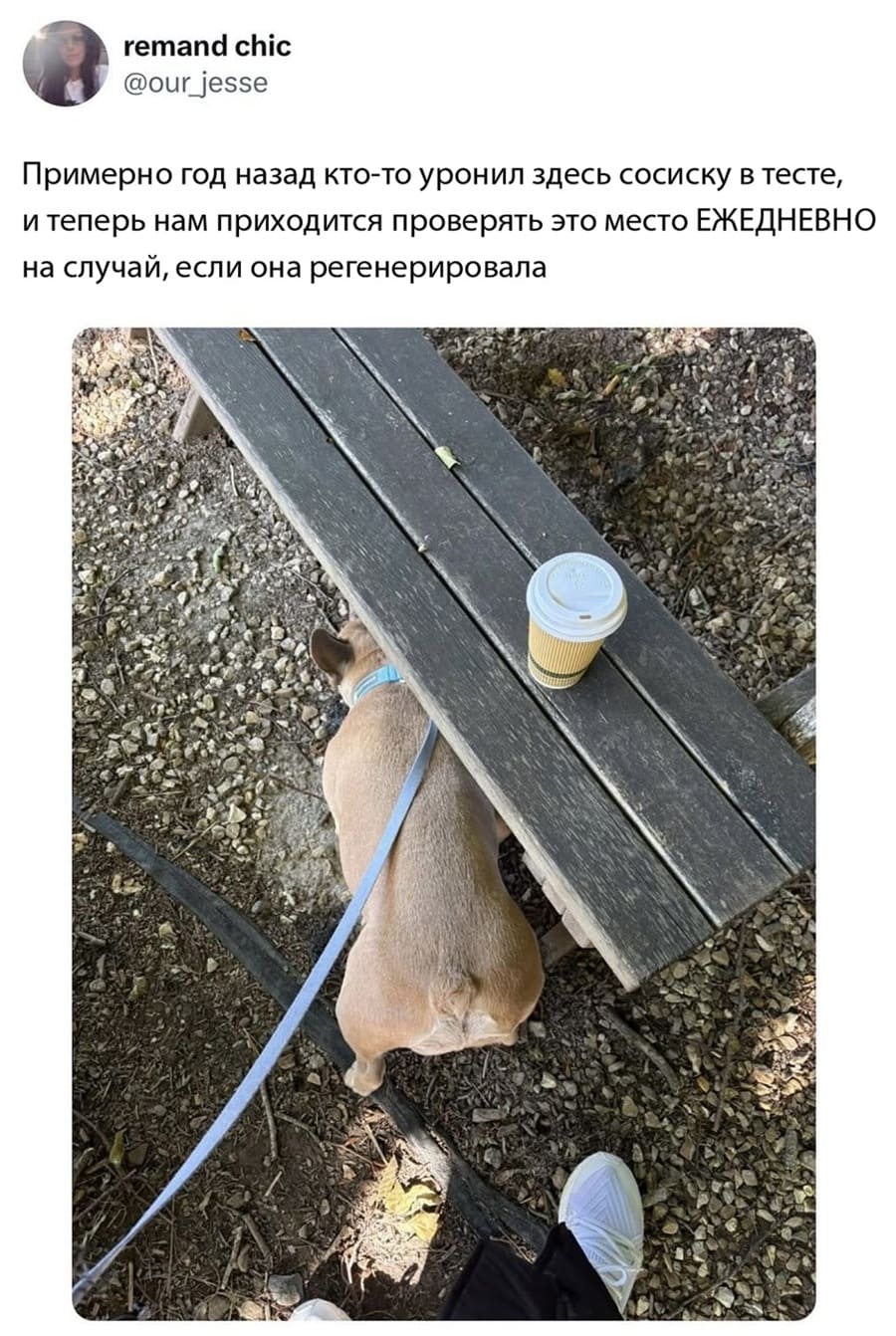 Примерно год назад кто-то уронил здесь сосиску в тесте, и теперь нам приходится проверять это место ЕЖЕДНЕВНО на случай, если она регенерировала.