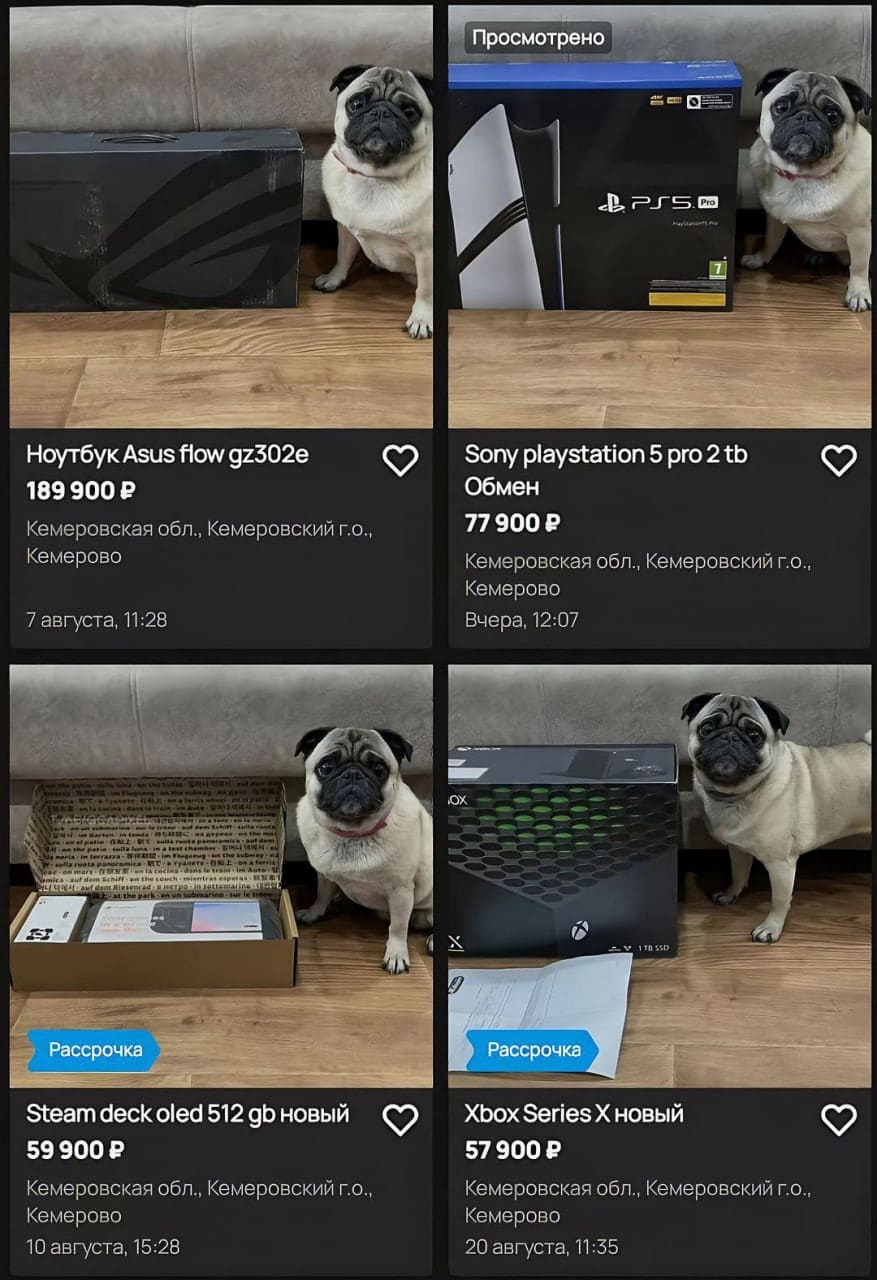 Самое милое на сегодня — Парень продаёт электронику и фотографирует каждый товар рядом со своим мопсом.