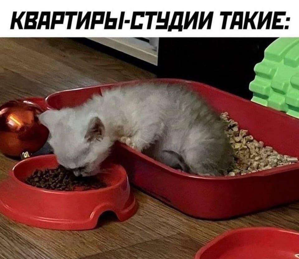 *КВАРТИРЫ-СТУДИИ ТАКИЕ*