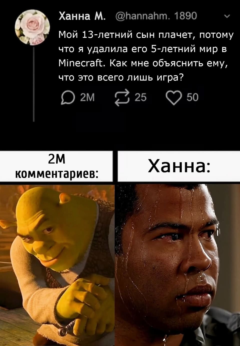 Мой 13-летний сын плачет, потому что я удалила его 5-летний мир в Minecraft. Как мне объяснить ему, что это всего лишь игра?
*2 миллиона комментариев*
*Ханна*