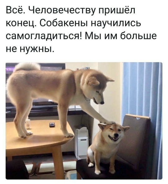Всё. Человечеству пришёл конец. Собакены научились самогладиться! Мы им больше не нужны.