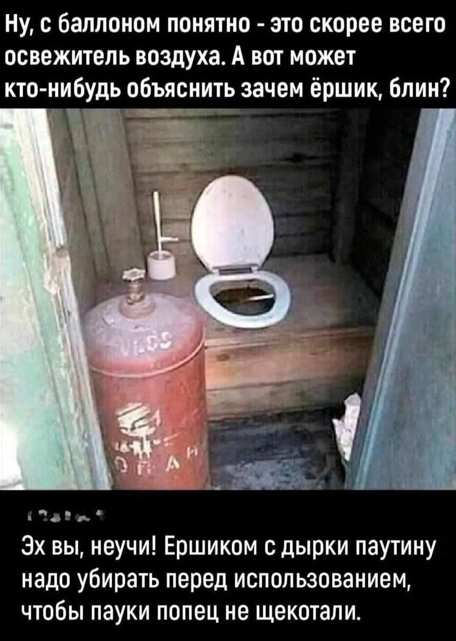 – Ну, с баллоном понятно — это скорее всего освежитель воздуха. А вот может кто-нибудь объяснить зачем ёршик, блин?
– Эх вы, неучи! Ершиком с дырки паутину надо убирать перед использованием, чтобы пауки попец не щекотали.