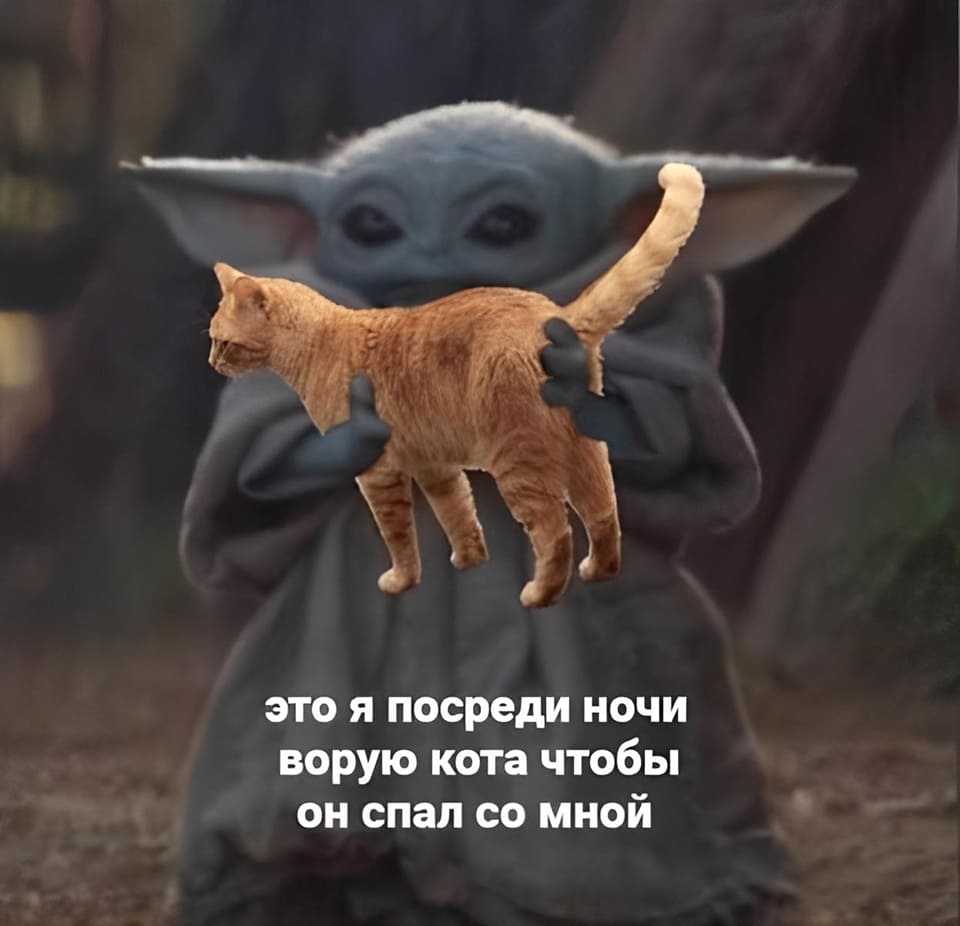 *Это я посреди ночи ворую кота чтобы он спал со мной*