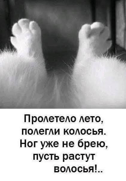 Пролетело лето,
полегли колосья.
Ног уже не брею,
пусть растут
волосья!..