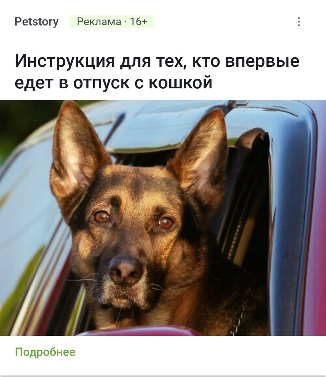 Petstory Реклама • 16+
*Инструкция для тех, кто впервые едет в отпуск с кошкой*