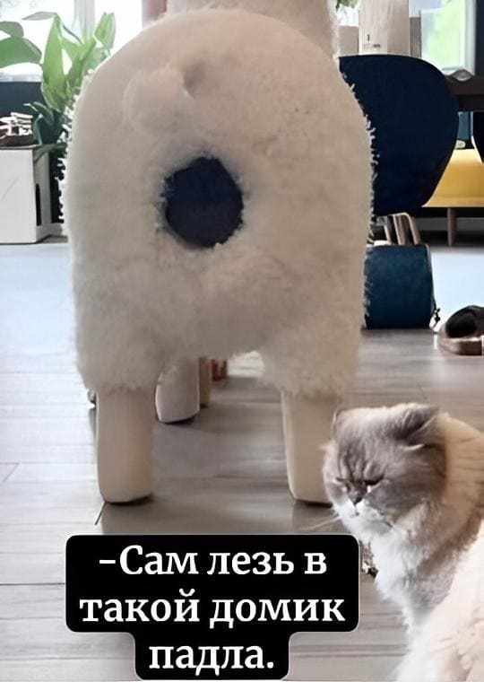 – Сам лезь в такой домик, падла...