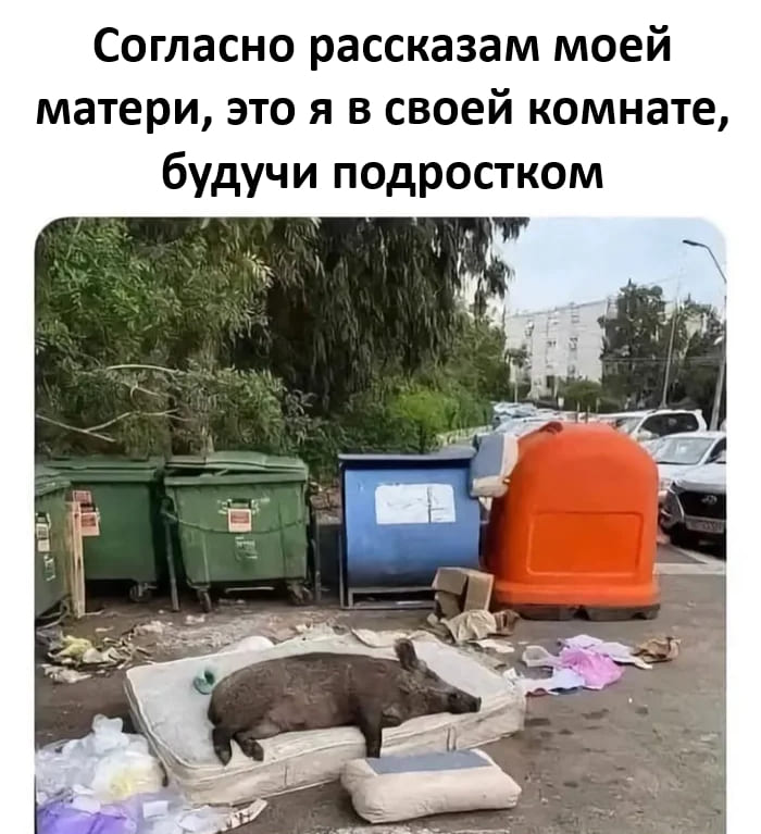 Согласно рассказам моей матери, это я в своей комнате, будучи подростком.