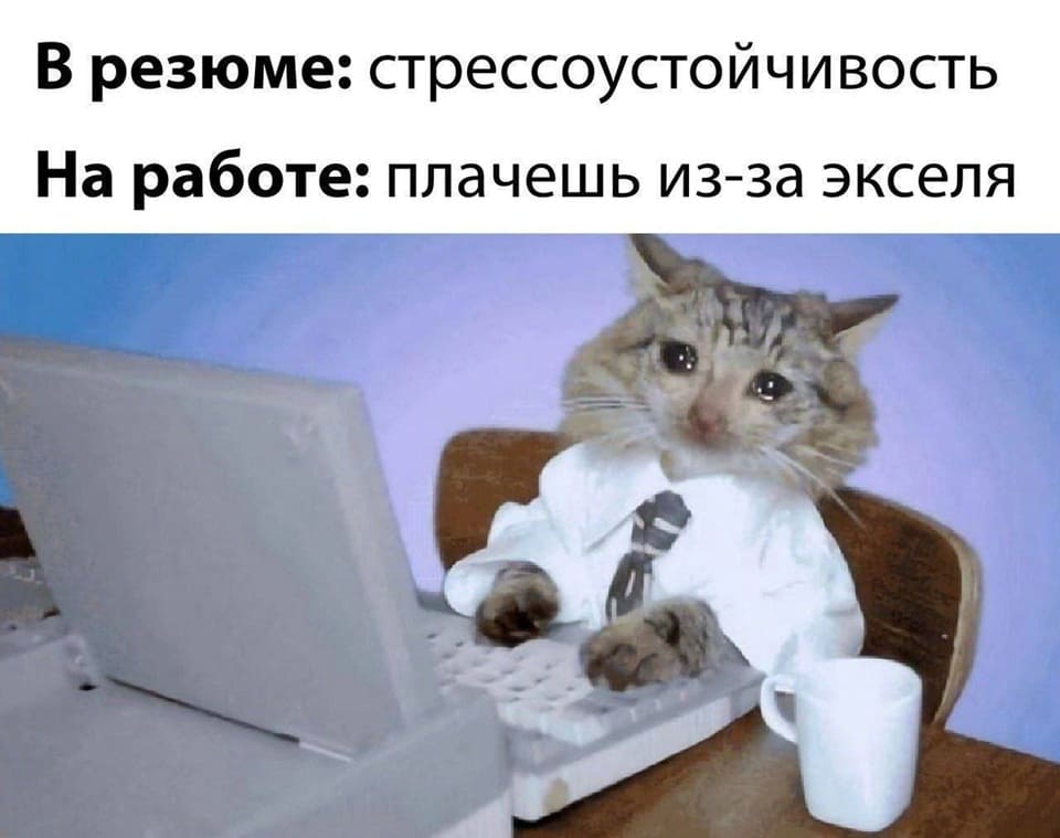Личные качества в резюме: стрессоустойчивость.
На работе: плачешь из-за экселя.