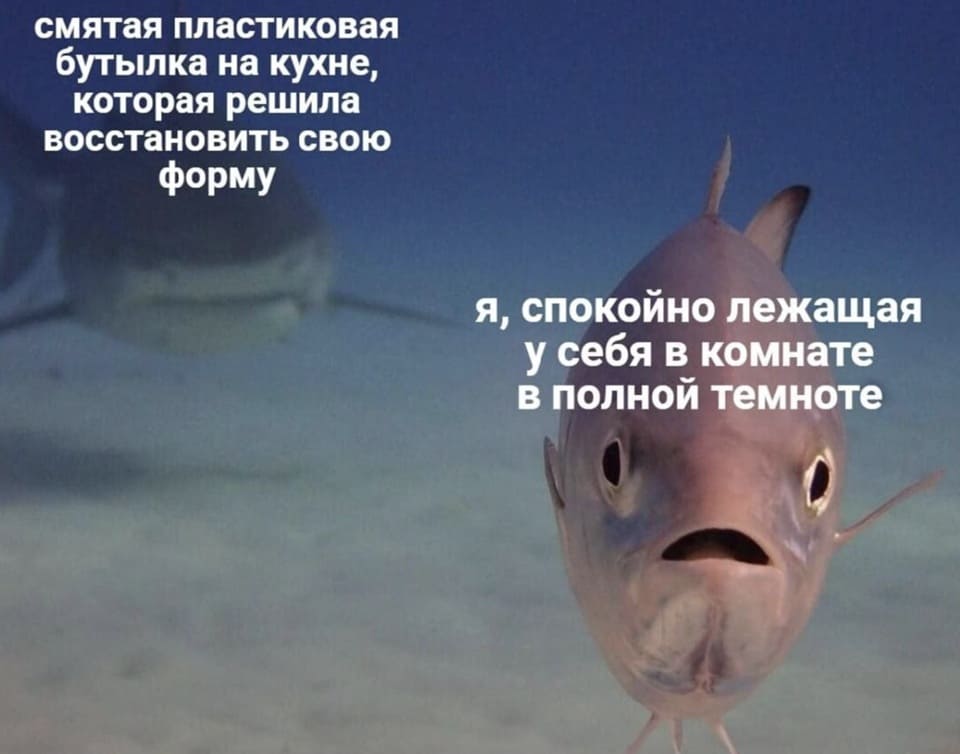 *Смятая пластиковая бутылка на кухне, которая решила восстановить свою форму*
*Я, спокойно лежащая у себя в комнате в полной темноте*