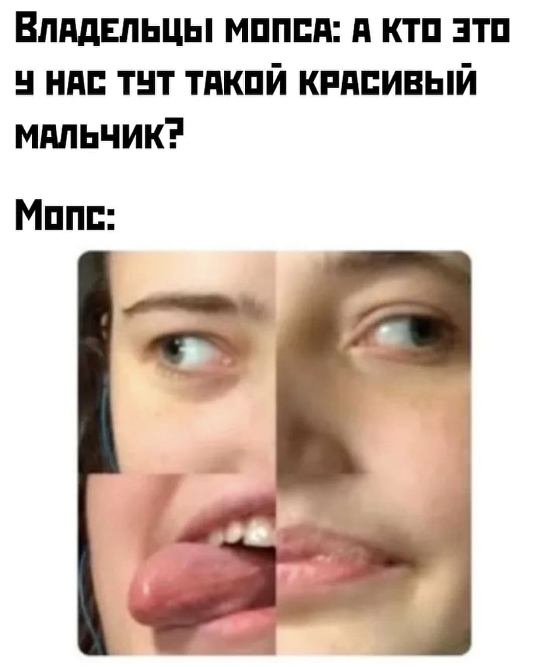 Владельцы мопса: А кто это у нас тут такой красивый мальчик?
*МОПС*