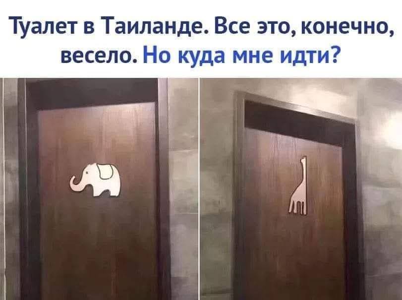 Туалет в Таиланде. Все это, конечно, весело. Но куда мне идти?