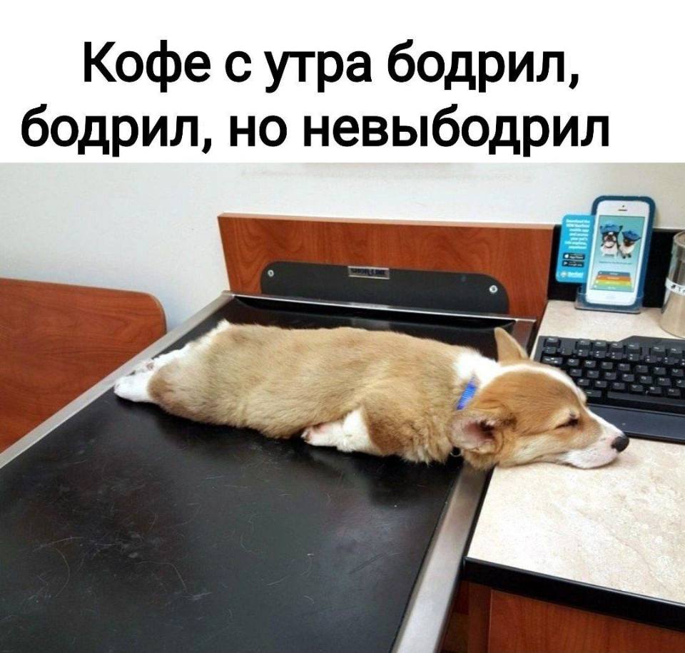 Кофе с утра бодрил, бодрил, но невыбодрил.