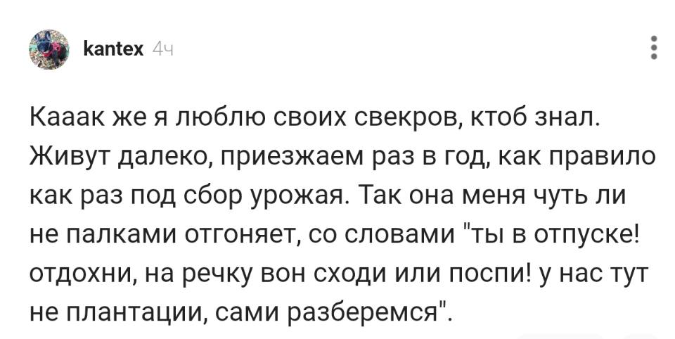 Кааак же я люблю своих свекров, ктоб знал. Живут далеко, приезжаем раз в год, как правило как раз под сбор урожая. Так она меня чуть ли не палками отгоняет, со словами «ты в отпуске! отдохни, на речку вон сходи или поспи! у нас тут не плантации, сами разберемся».