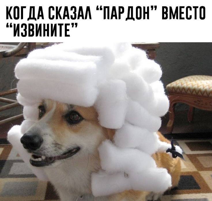 *Когда сказал Пардон вместо Извините*