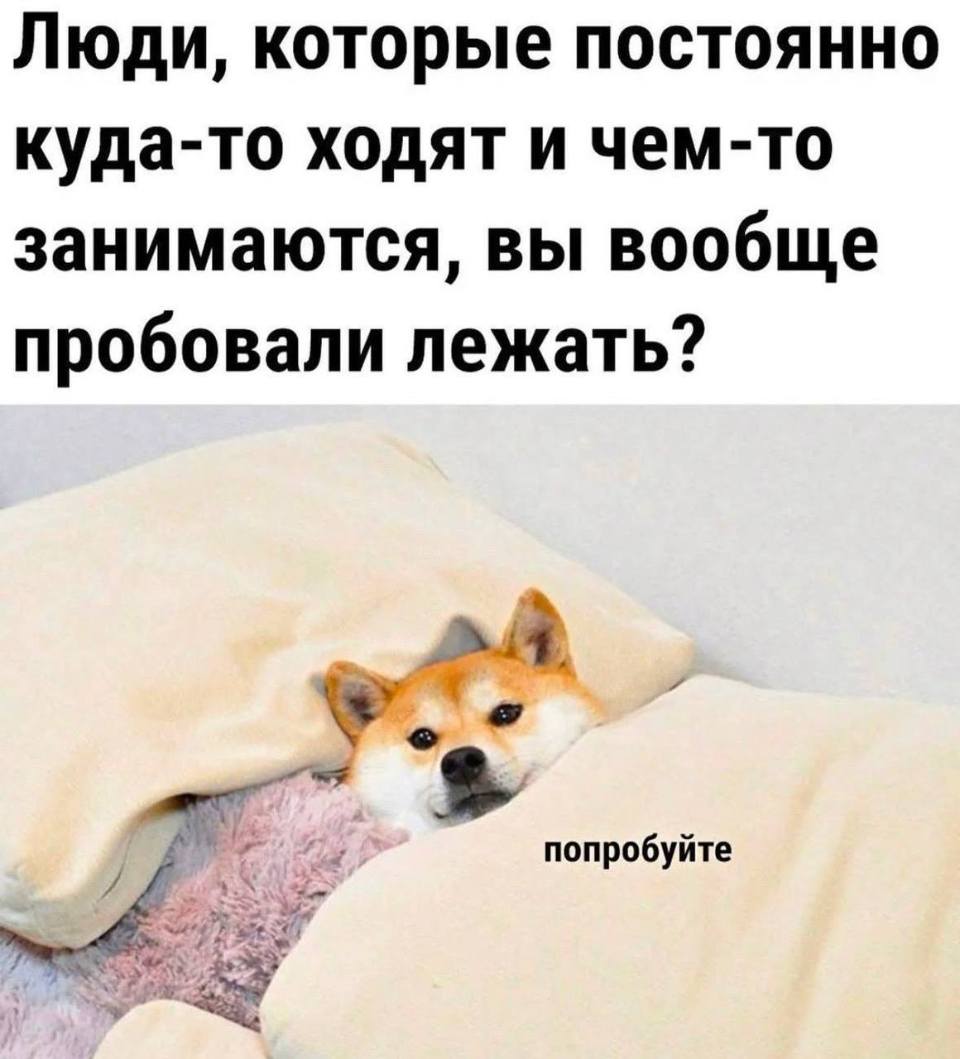 Люди, которые постоянно куда-то ходят и чем-то занимаются, вы вообще пробовали лежать? Попробуйте!