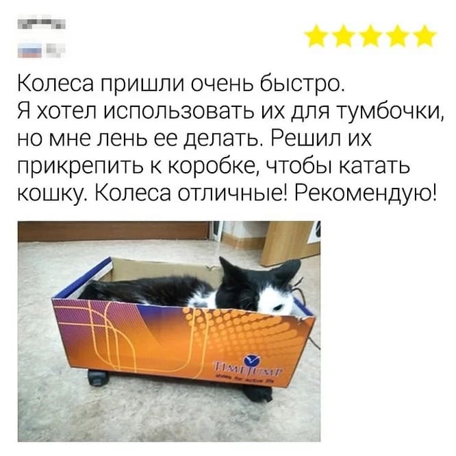 Колёса пришли очень быстро. Я хотел использовать их для тумбочки, но мне лень ее делать. Решил их прикрепить к коробке, чтобы катать кошку. Колеса отличные! Рекомендую!