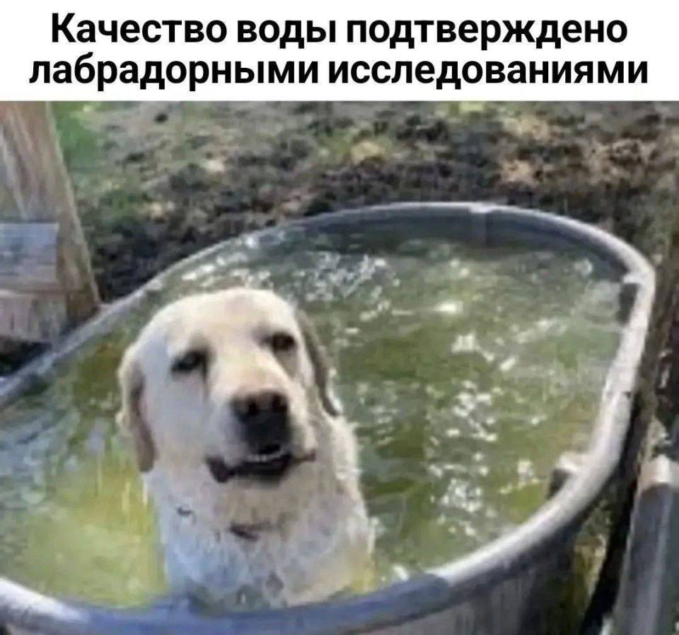 *Качество воды подтверждено лабрадорными исследованиями*