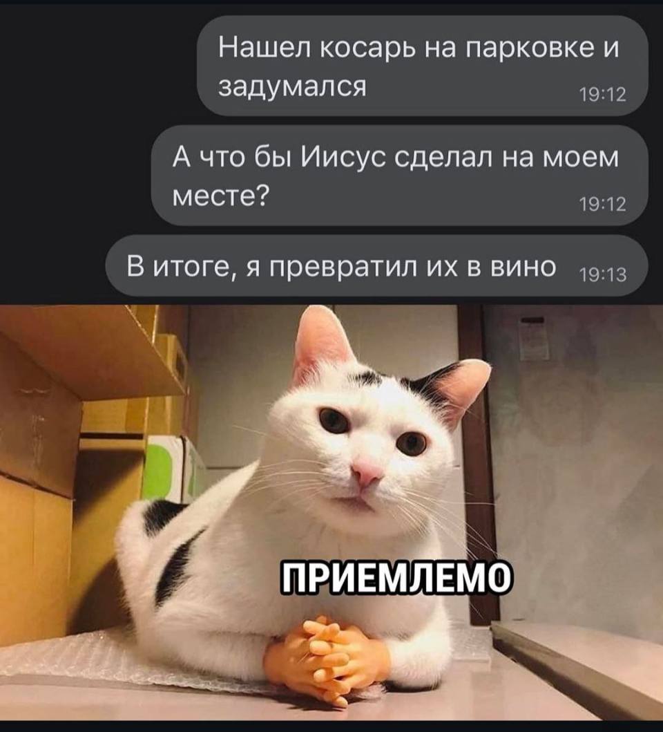 Нашел косарь на парковке и задумался: А что бы Иисус сделал на моём месте? В итоге, я превратил их в вино.
*Приемлемо*