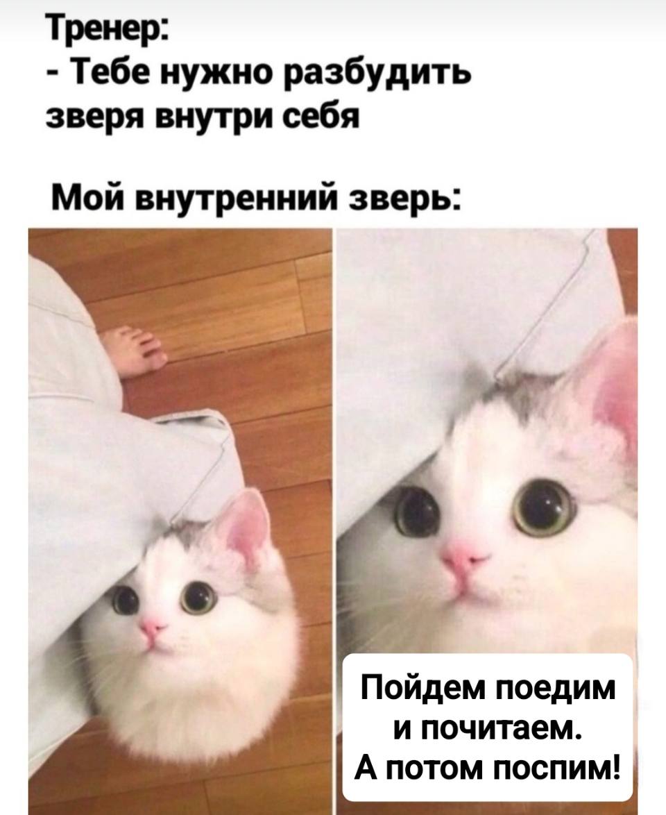 Тренер:
– Тебе нужно разбудить зверя внутри себя!

Мой внутренний зверь:
– Пойдём поедим и почитаем. А потом поспим!