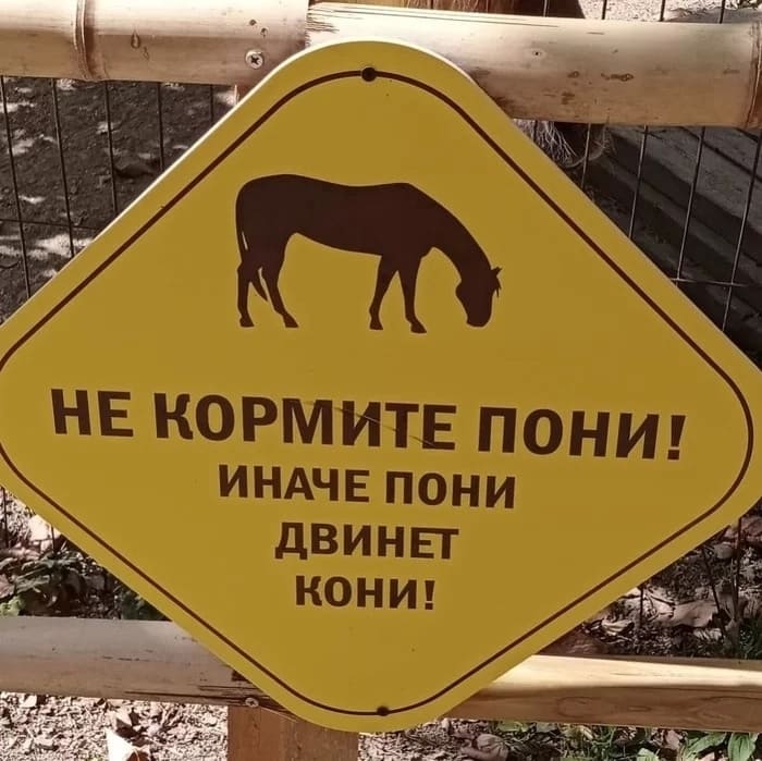 Объявление в зоопарке: «НЕ КОРМИТЕ ПОНИ! ИНАЧЕ ПОНИ ДВИНЕТ КОНИ!»