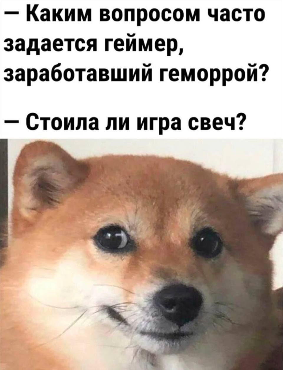 – Каким вопросом часто задается геймер, заработавший геморрой?
– Стоила ли игра свеч?