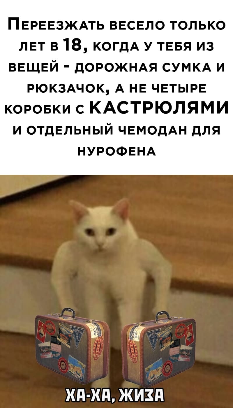Переезжать весело только лет в 18, когда у тебя из вещей — дорожная сумка и рюкзачок, а не четыре с кастрюлями и отдельный чемодан для Нурофена.