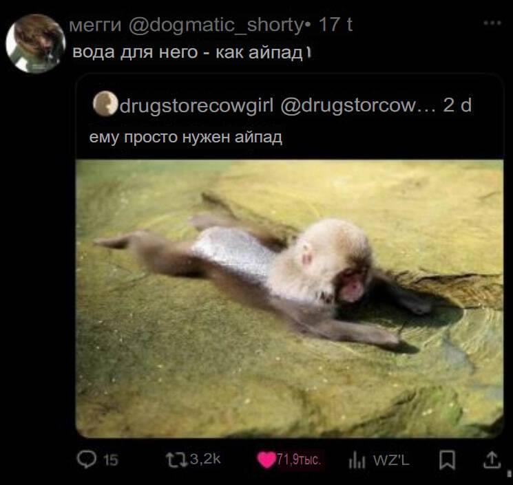 – Вода для него – как айпад.
– Ему просто нужен айпад.