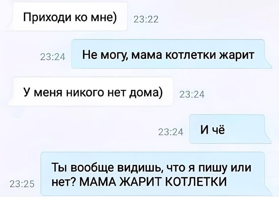 – Приходи ко мне)
– Не могу, мама котлетки жарит.
– У меня никого нет дома)
– Ичё. Ты вообще видишь, что я пишу или нет? МАМА ЖАРИТ КОТЛЕТКИ!