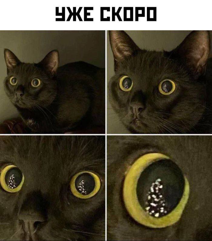 *Скоро Новый год*