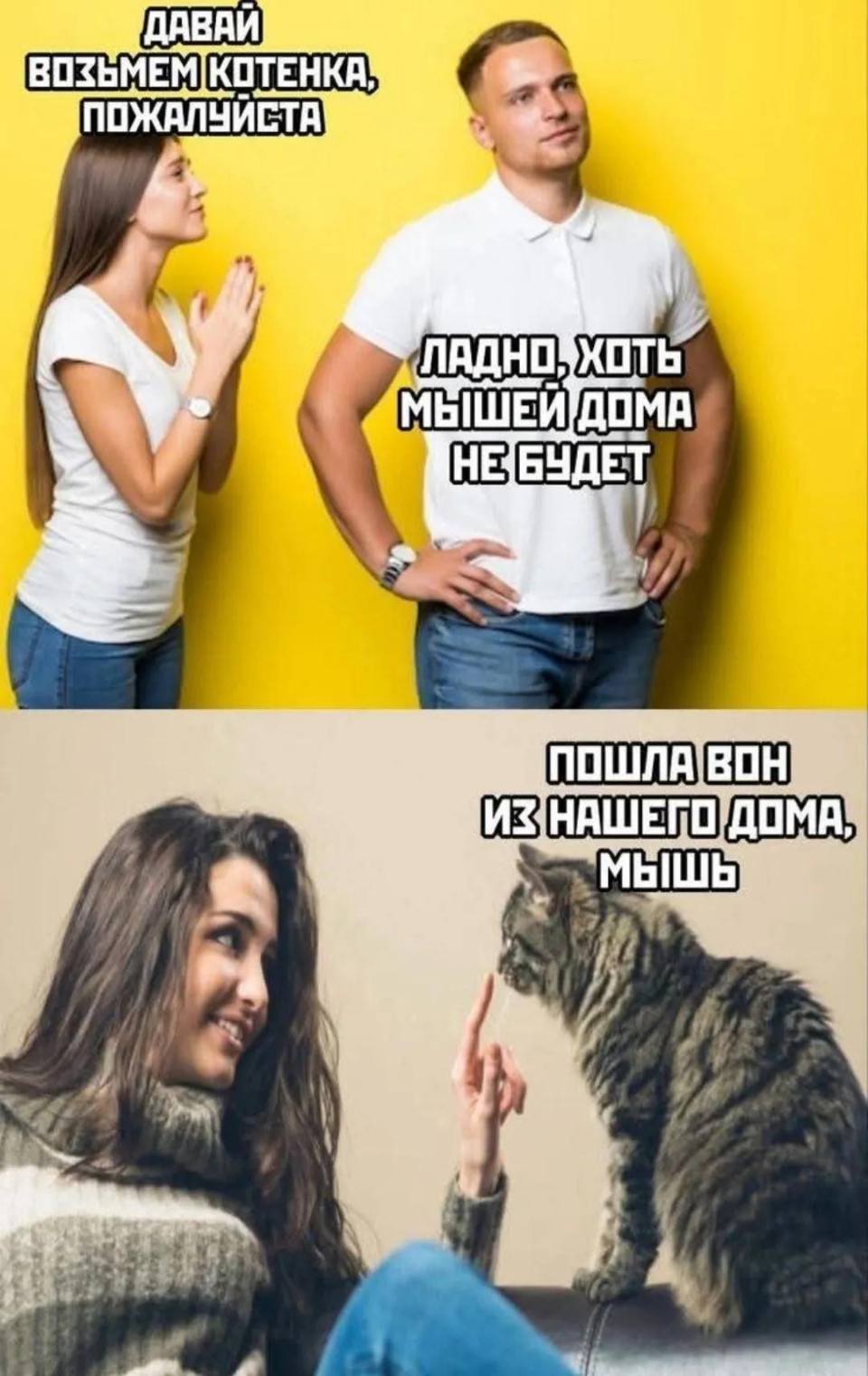 Девушка парню:
– Давай заведём котёнка, пожалуйста!
Парень:
– Ладно, давай, хоть мышей дома не будет...
Котёнок спустя какое-то время, глядя на девушку:
– Пошла вон из нашего дома, мышь!