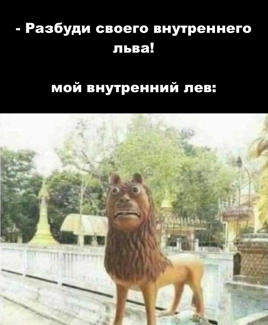 – Разбуди своего внутреннего льва!
*Мой внутренний лев*