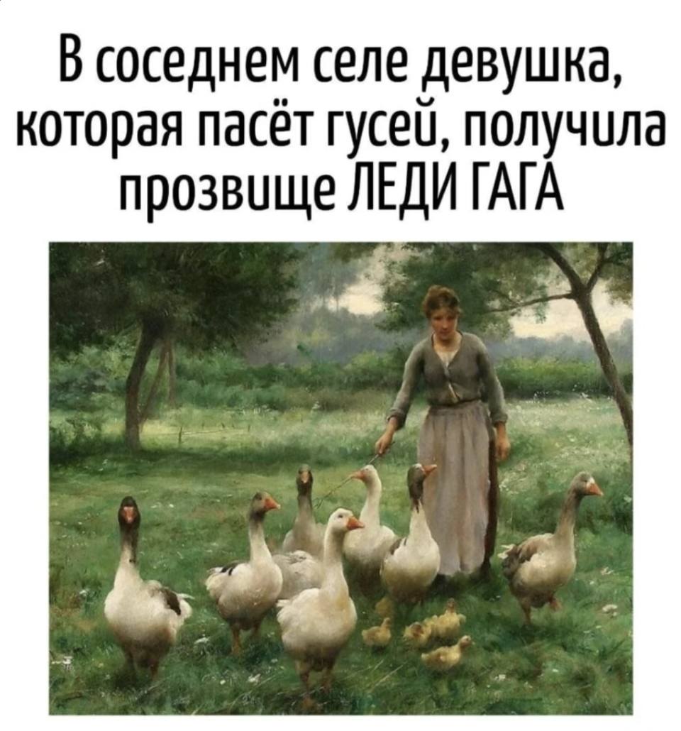 *В соседнем селе девушка, которая пасёт гусей, получила прозвище ЛЕДИ ГАГА*