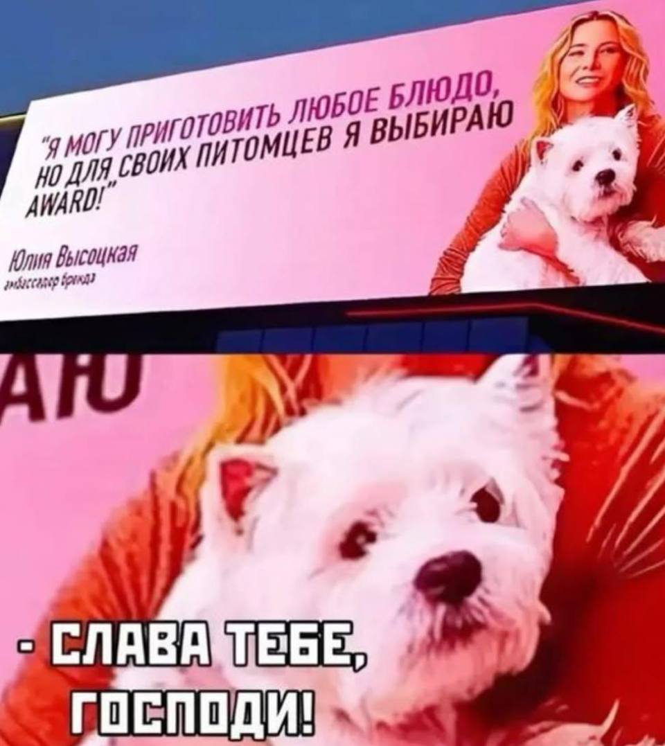 «Я МОГУ ПРИГОТОВИТЬ ЛЮБОЕ БЛЮДО, НО ДЛЯ СВОИХ ПИТОМЦЕВ Я ВЫБИРАЮ СОБАЧИЙ КОРМ»
Юлия Высоцкая (Амбассадор бренда)
Реакция питомца:
– СЛАВА ТЕБЕ ГОСПОДИ!