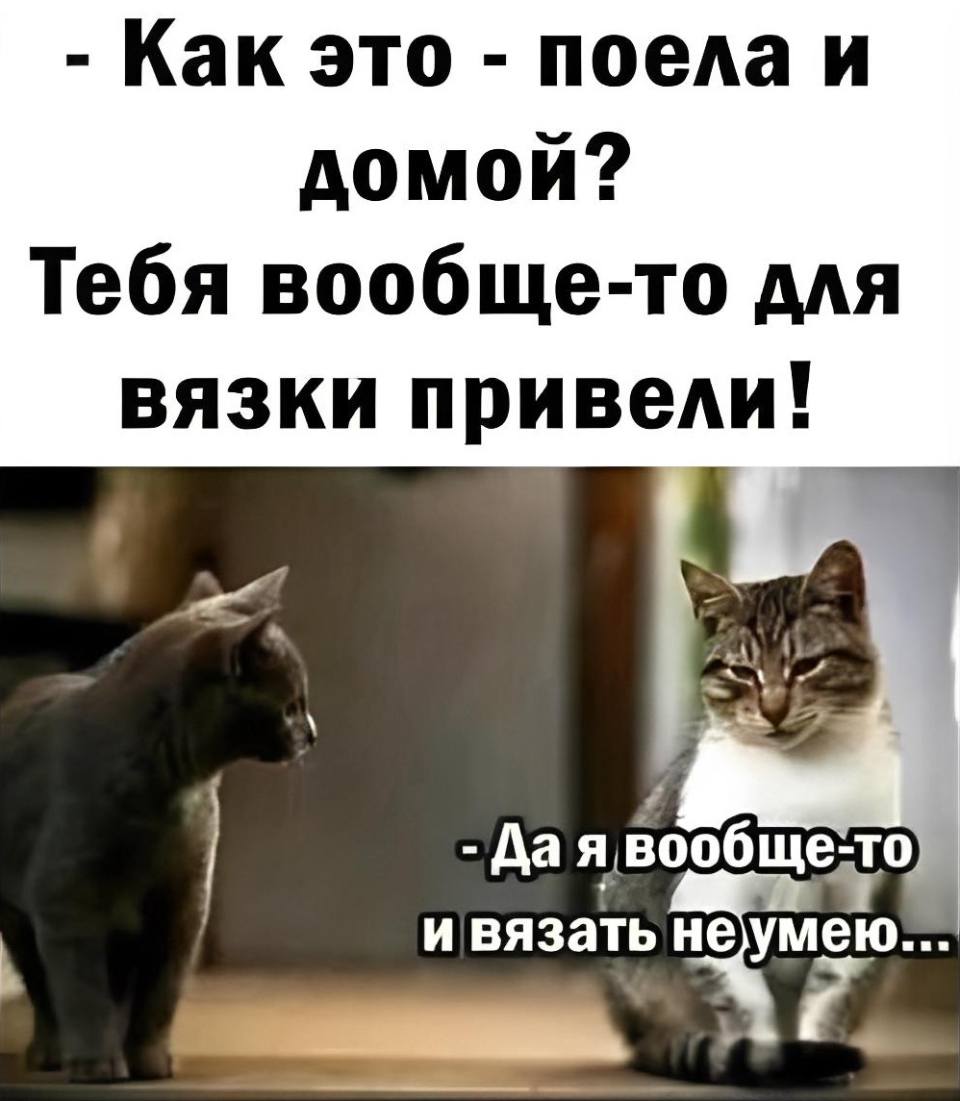 – Как это — поела и домой? Тебя вообще-то для вязки привели!
– Да я вообще-то и вязать не умею...