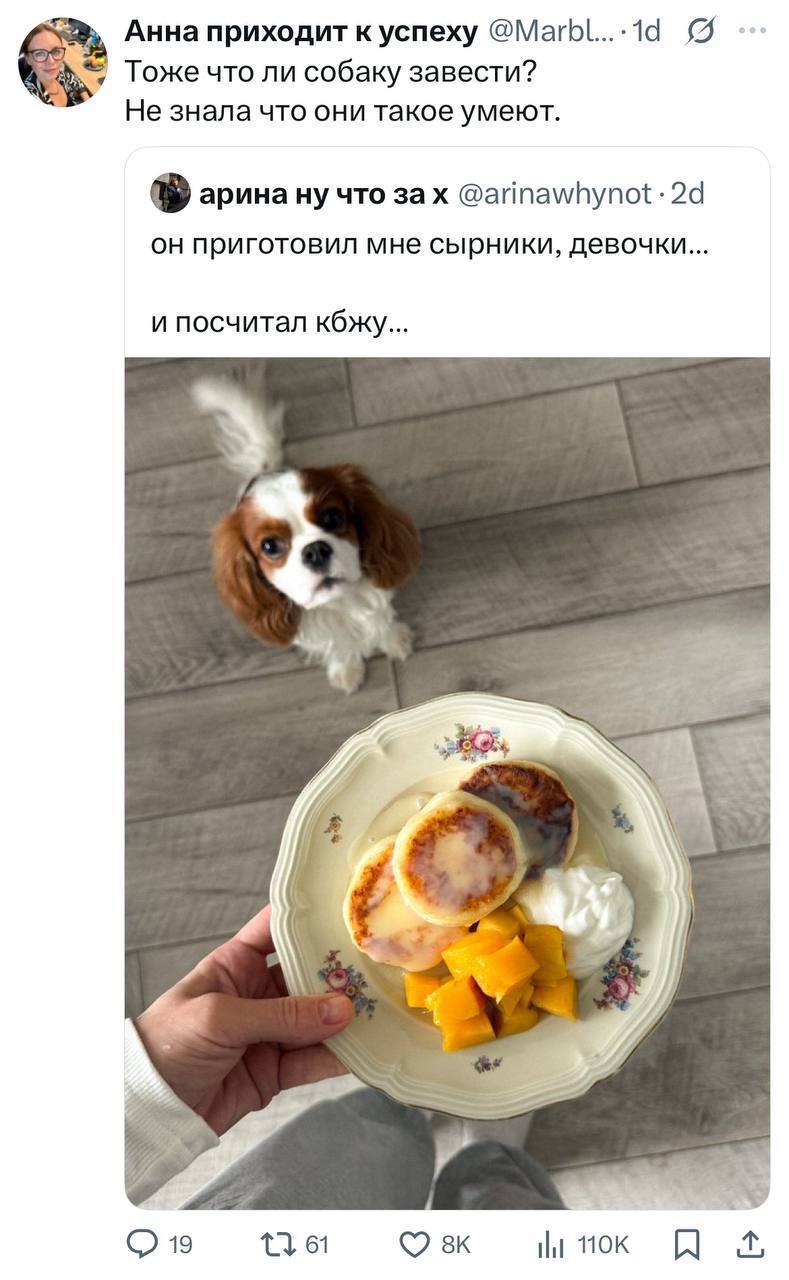 – Он (собакен) приготовил мне сырники, девочки... и посчитал кбжу...
– Тоже что ли собаку завести? Не знала что они такое умеют.