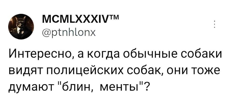 Интересно, а когда обычные собаки видят полицейских собак, они тоже думают «блин, менты»?