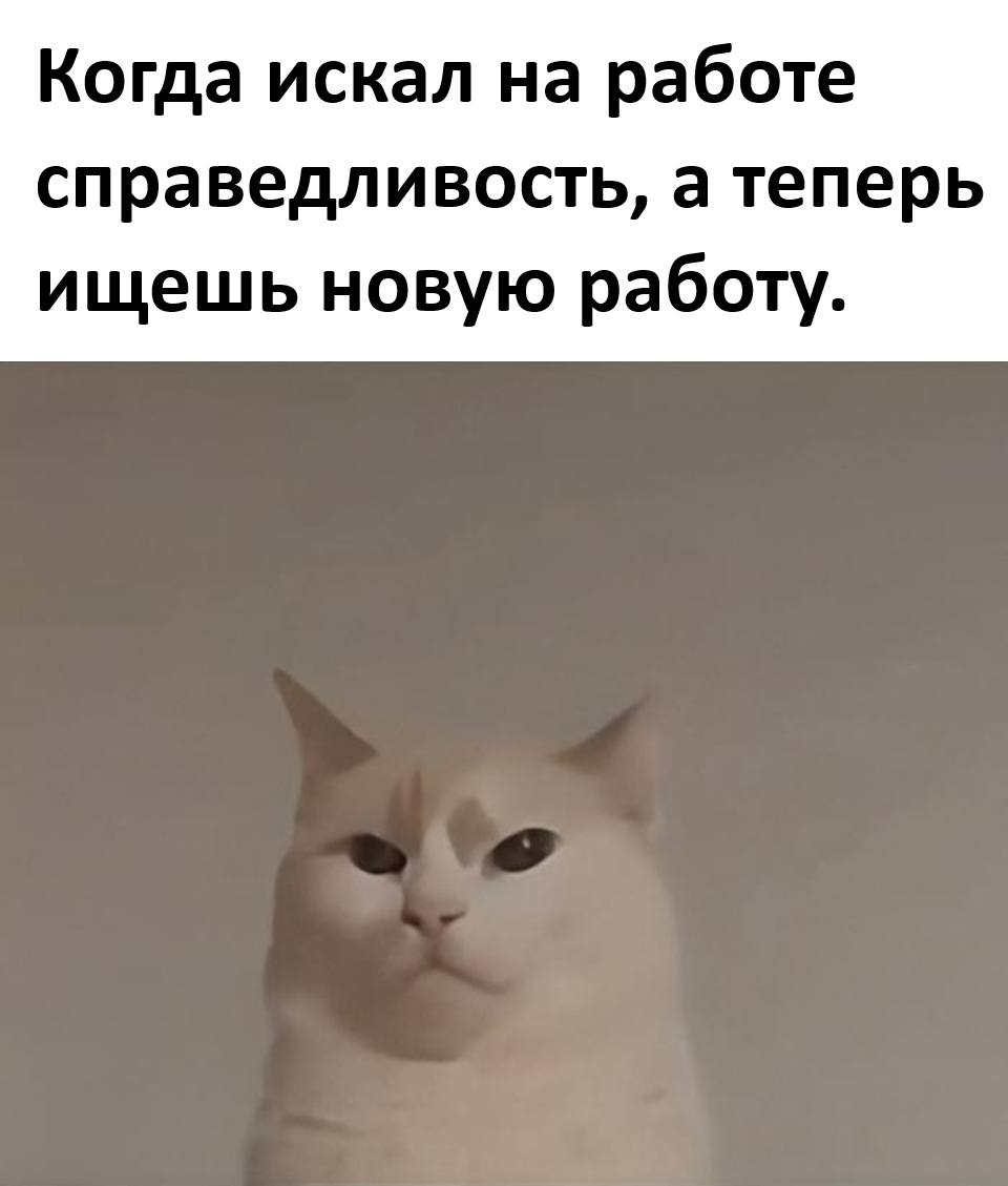 Когда искал на работе справедливость, а теперь ищешь новую работу.
