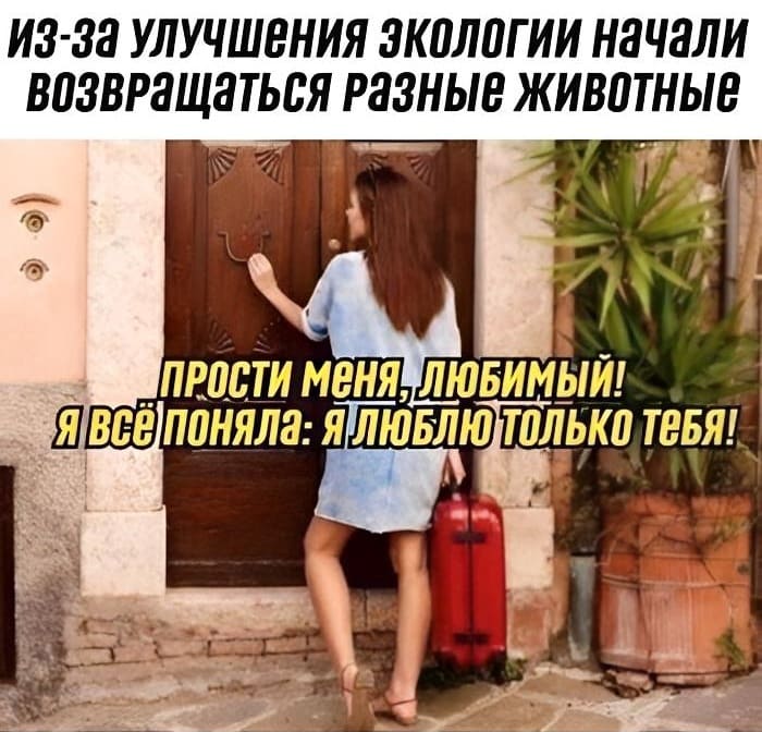 *Из-за улучшения экологии начали возвращаться разные животные*
– Прости меня, любимый! Я всё поняла: Я люблю только тебя!