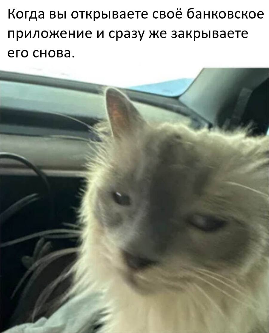 *Когда вы открываете своё банковское приложение и сразу же закрываете его снова.*
