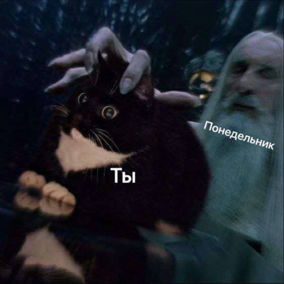 *Понедельник и ты*