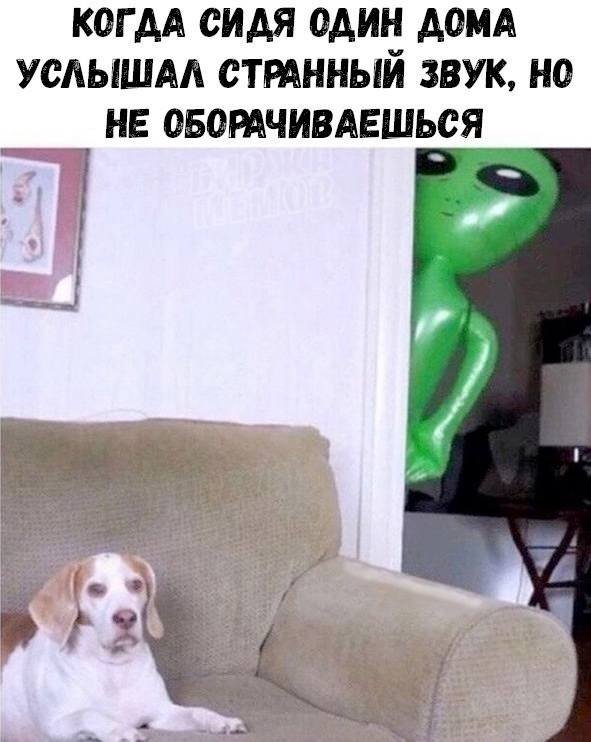 *КОГДА СИДЯ ОДИН ДОМА УСЛЫШАЛ СТРАННЫЙ ЗВУК, НО НЕ ОБОРАЧИВАЕШЬСЯ*
