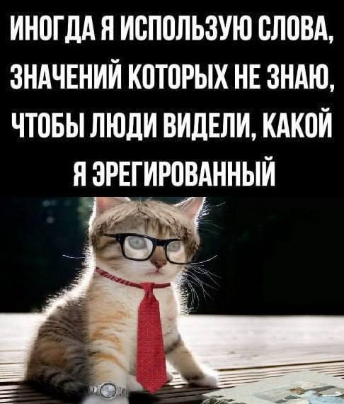 *Моё главное правило: использовать сложные слова, даже не зная их значения. Так люди сразу видят, какой я эрегированный.*
