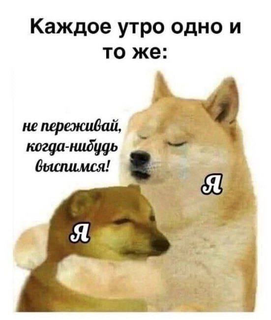 Каждое утро одно и то же:
– Не переживай, когда-нибудь выспимся...
