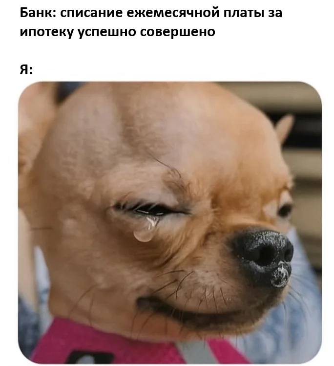 Банк: списание ежемесячной платы за ипотеку успешно совершено.
*Слёзы счастья*