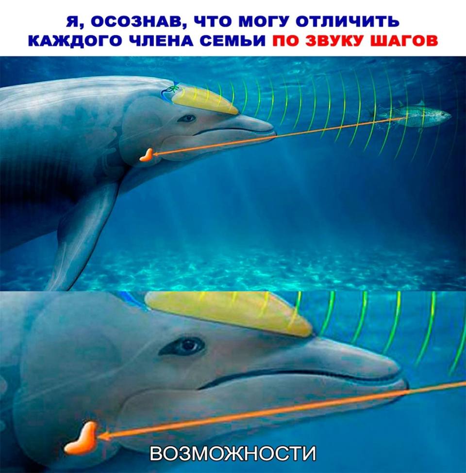 *Я, ОСОЗНАВ, ЧТО МОГУ ОТЛИЧИТЬ КАЖДОГО ЧЛЕНА СЕМЬИ ПО ЗВУКУ ШАГОВ*
*В – ВОЗМОЖНОСТИ*